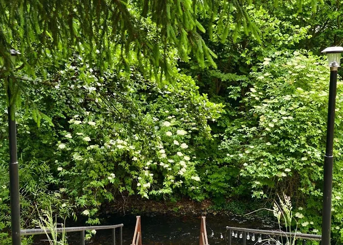 Pod Kogutkiem Kruklanki